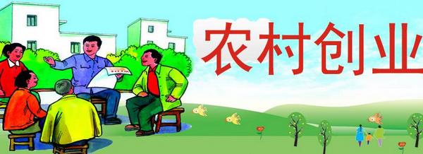 農(nóng)村小本創(chuàng)業(yè)有哪些項目 十個適合窮人的農(nóng)村創(chuàng)業(yè)項目
