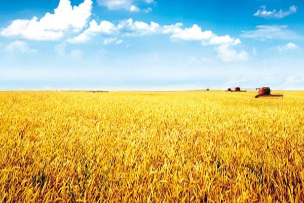 目前農業補貼項目有哪些 2018年農業補貼什么時候發放