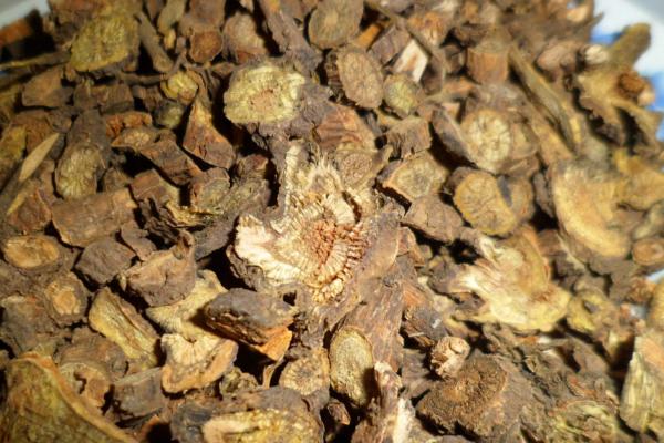 黃岑的功效與作用及禁忌 黃芩泡水喝有什么好處