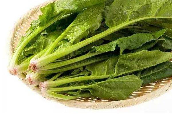孕婦能吃菠菜嗎 菠菜食用禁忌
