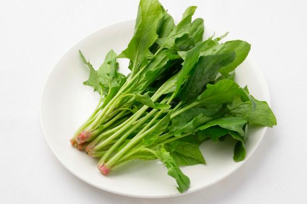 孕婦能吃菠菜嗎 菠菜食用禁忌