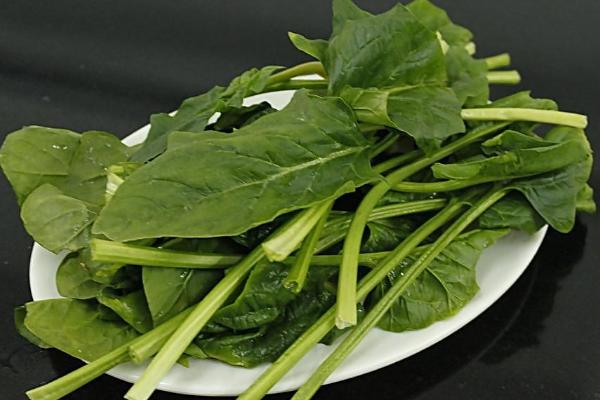 孕婦能吃菠菜嗎 菠菜食用禁忌