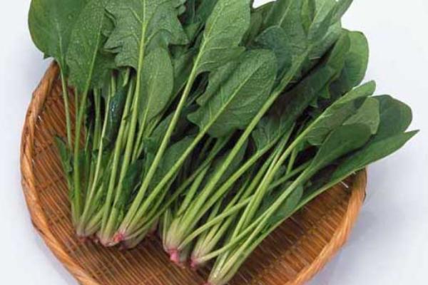 菠菜熱量是多少 吃菠菜減肥嗎