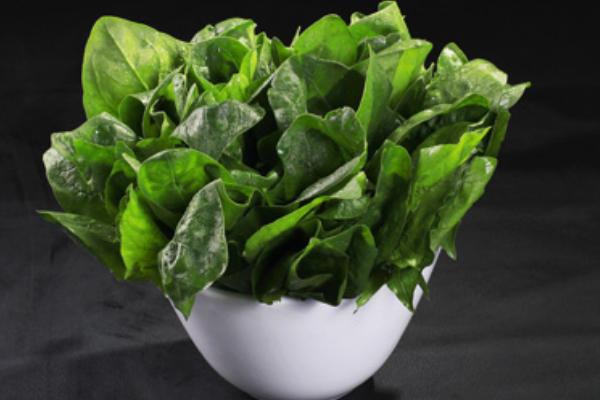 菠菜熱量是多少 吃菠菜減肥嗎
