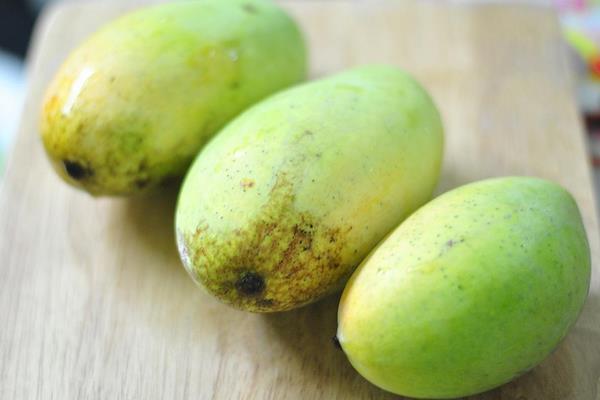 芒果能放多久 芒果有蟲吃了怎么辦