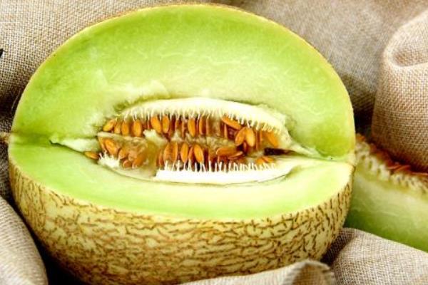 芒果和哈密瓜能一起吃嗎 西瓜和哈密瓜能一起吃嗎