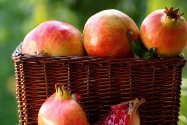 甜石榴的功效與作用及禁忌 石榴的應用