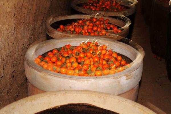 柿子醋的功效與作用及禁忌 柿子醋的使用方法