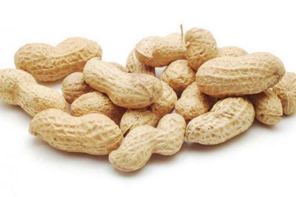 生花生補血嗎 吃花生補腎嗎