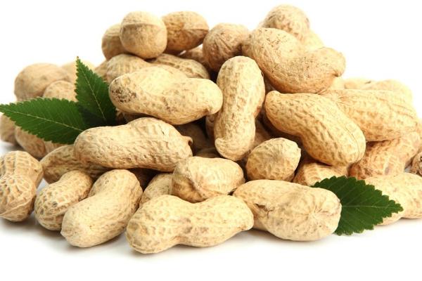 結石可以吃花生嗎 甲亢可以吃花生嗎