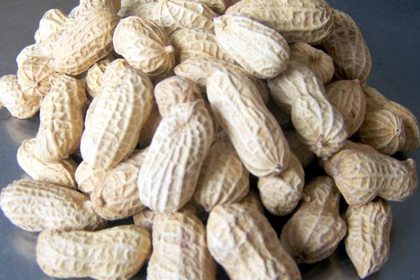 結石可以吃花生嗎 甲亢可以吃花生嗎 