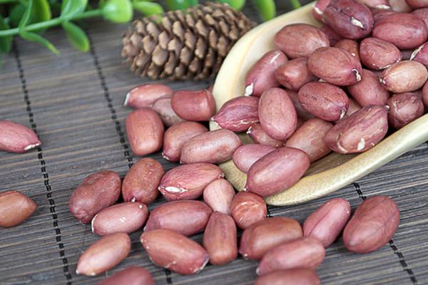 結石可以吃花生嗎 甲亢可以吃花生嗎 