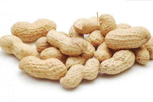 結石可以吃花生嗎 甲亢可以吃花生嗎 