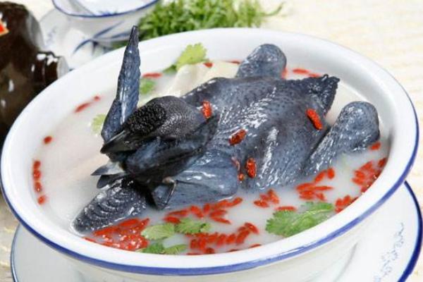 胃不好能吃烏雞煲湯嗎？ 小孩能喝烏雞湯嗎