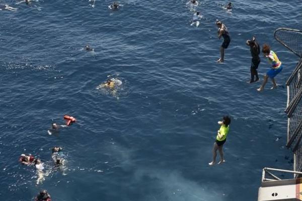 夢見跳水是什么意思 夢到跳水救人有什么預兆