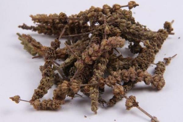 荊芥穗的功效與作用及禁忌 荊芥穗的藥用價(jià)值