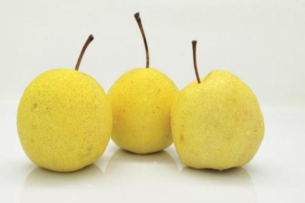梨有多少種 梨子的常見品種有哪些
