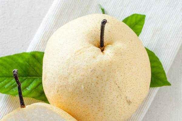 梨有多少種 梨子的常見品種有哪些