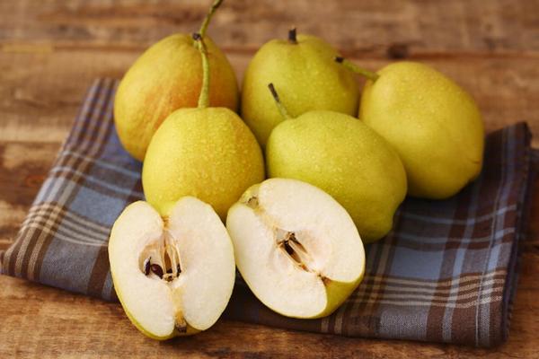 梨有多少種 梨子的常見品種有哪些