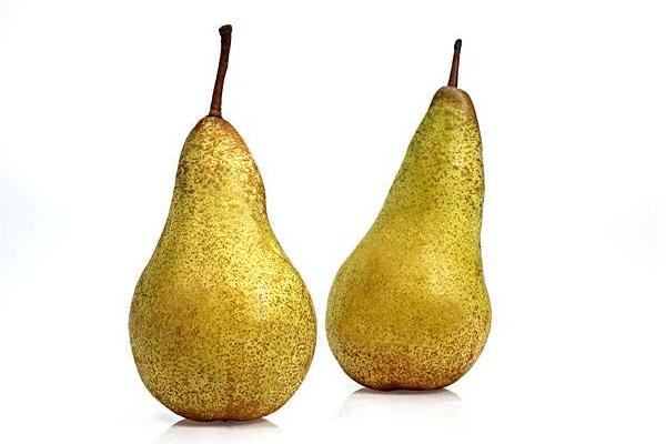 梨有多少種 梨子的常見品種有哪些