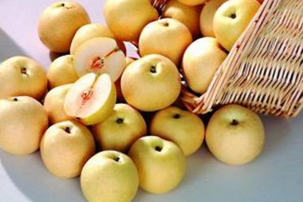梨有多少種 梨子的常見品種有哪些