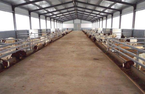 農村合作社怎么申請 農村合作社如何運作