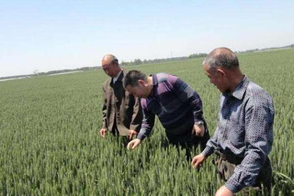 農村合作社怎么申請 農村合作社如何運作