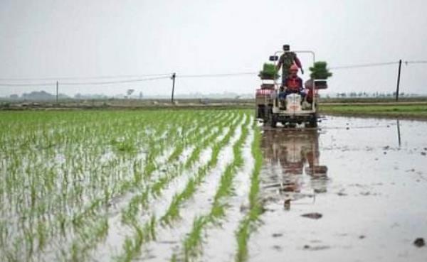 農村合作社怎么申請 農村合作社如何運作