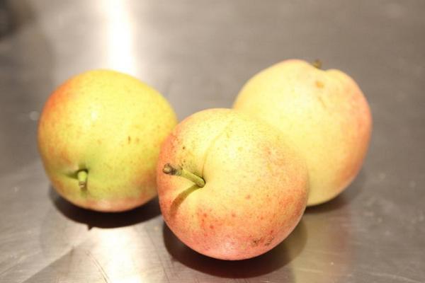 梨可以做酒嗎 梨子酒的制作方法