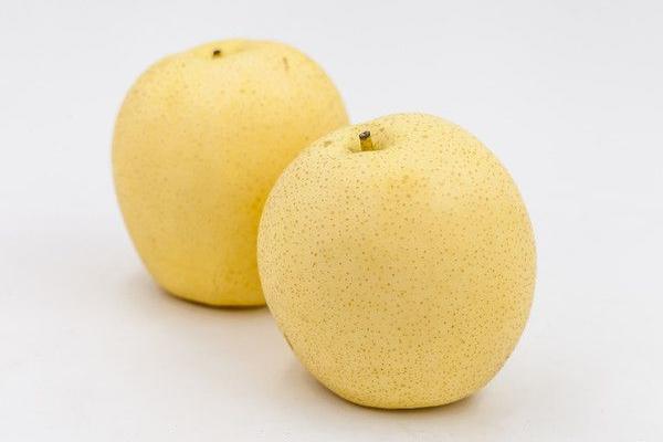 梨可以做酒嗎 梨子酒的制作方法