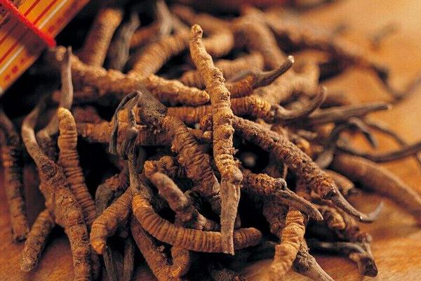 什么藥材好種又好銷 六個新型農業種植項目