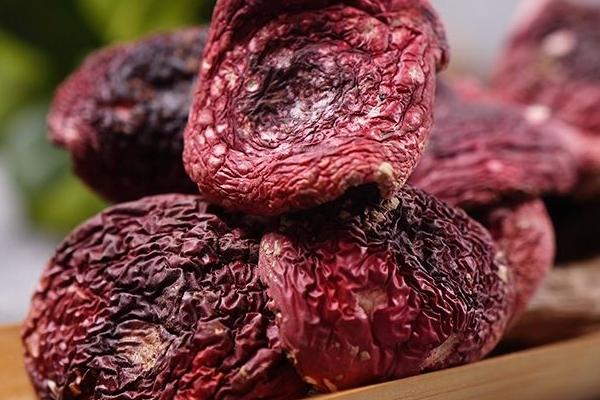 紅菇的功效與作用及禁忌 正紅菇的營養價值