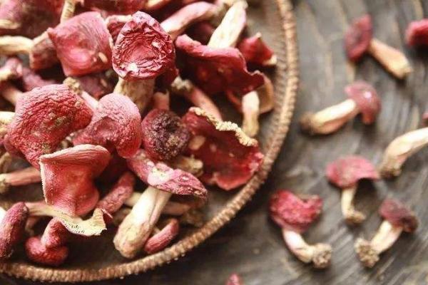 紅菇的功效與作用及禁忌 正紅菇的營養價值