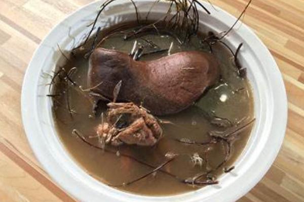 榆黃蘑市場前景分析 榆黃蘑是榆蘑嗎