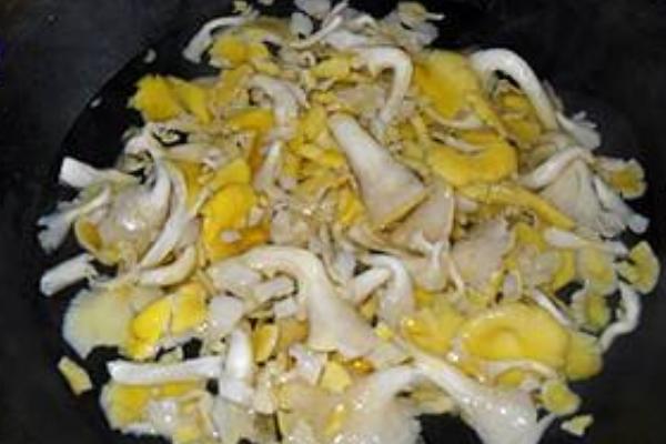 榆黃蘑市場前景分析 榆黃蘑是榆蘑嗎