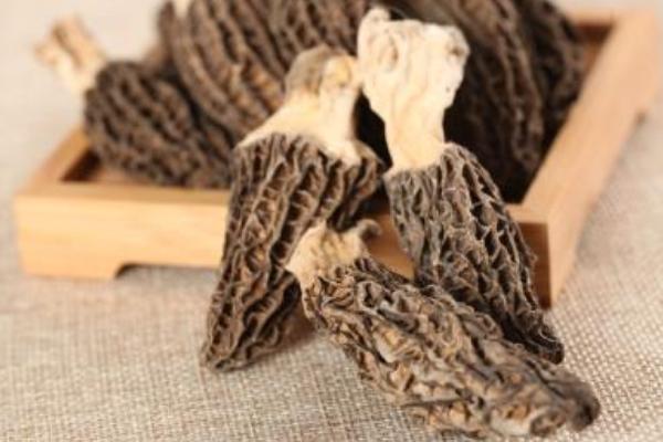 2018年羊肚菌種植前景 羊肚菌種植成本與利潤(rùn)分析