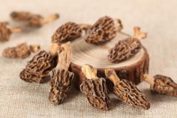 2018年羊肚菌種植前景 羊肚菌種植成本與利潤(rùn)分析