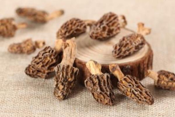 羊肚菌市場價格多少錢一斤 羊肚菌大的好還是小的好