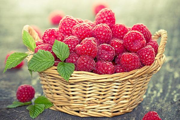 刺泡市場價格多少錢一斤 刺泡幾月份有