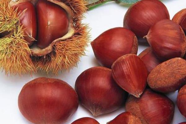 板栗和油栗哪個好吃 板栗和油栗的區別