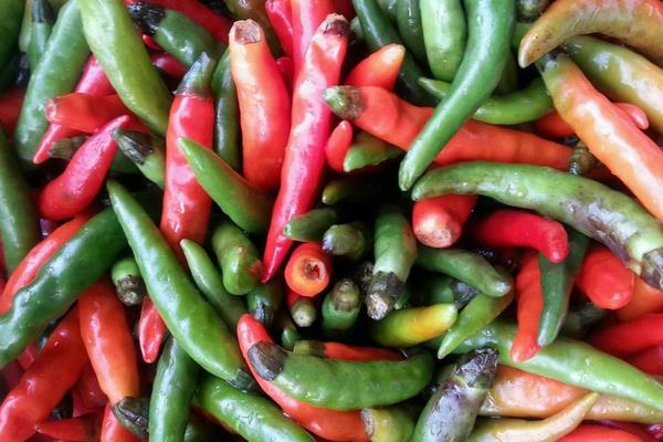 小尖椒價格多少錢一斤 小尖椒的食用價值