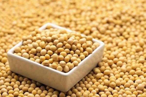 夢見大豆什么意思 女人夢到吃大豆有什么預(yù)兆