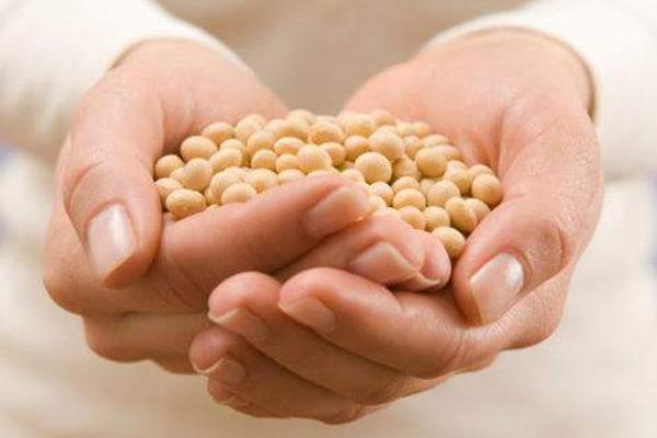 夢見大豆什么意思 女人夢到吃大豆有什么預(yù)兆