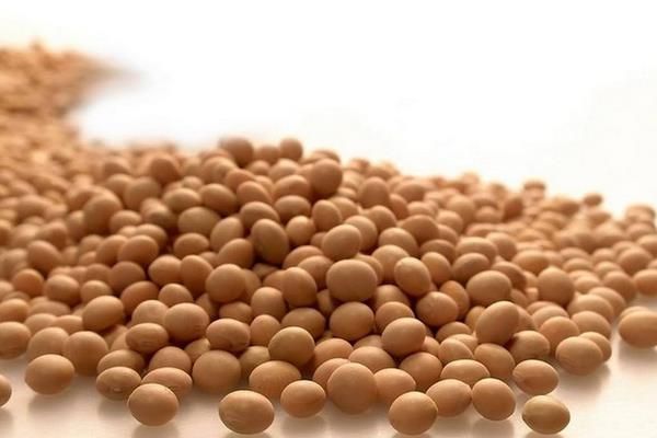 夢見大豆什么意思 女人夢到吃大豆有什么預(yù)兆