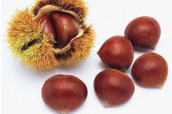 腎炎能吃板栗嗎 板栗的營養(yǎng)價(jià)值