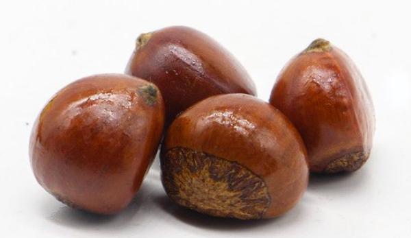 板栗是長在哪里的 板栗的產地在哪里