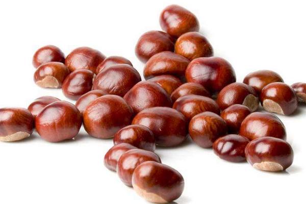 栗子蓉的做法大全 栗子蓉的功效與作用