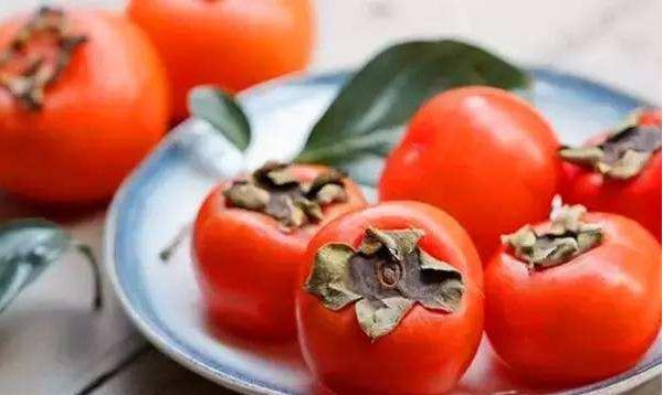 柿子蒂的功效與作用及禁忌 柿子蒂的吃法