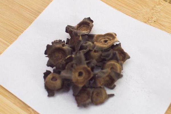 柿子蒂的功效與作用及禁忌 柿子蒂的吃法