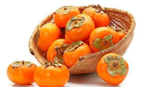 棗和柿子能一起吃嗎 蟹和柿子能一起吃嗎